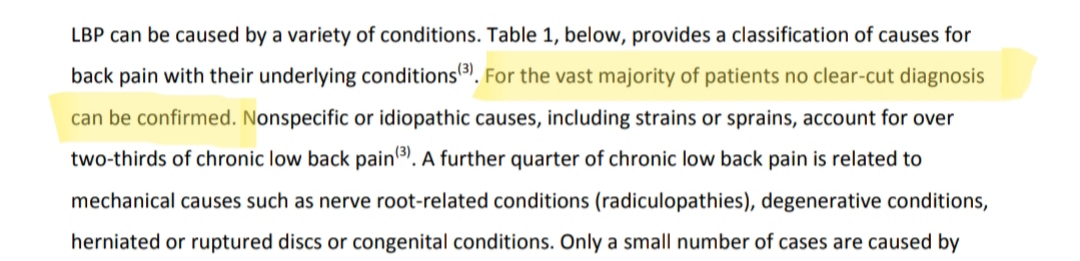 statistics on back pain in new zealand