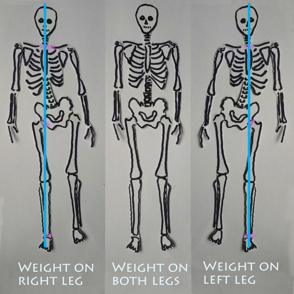 skeleton shifting weight and using sidebending