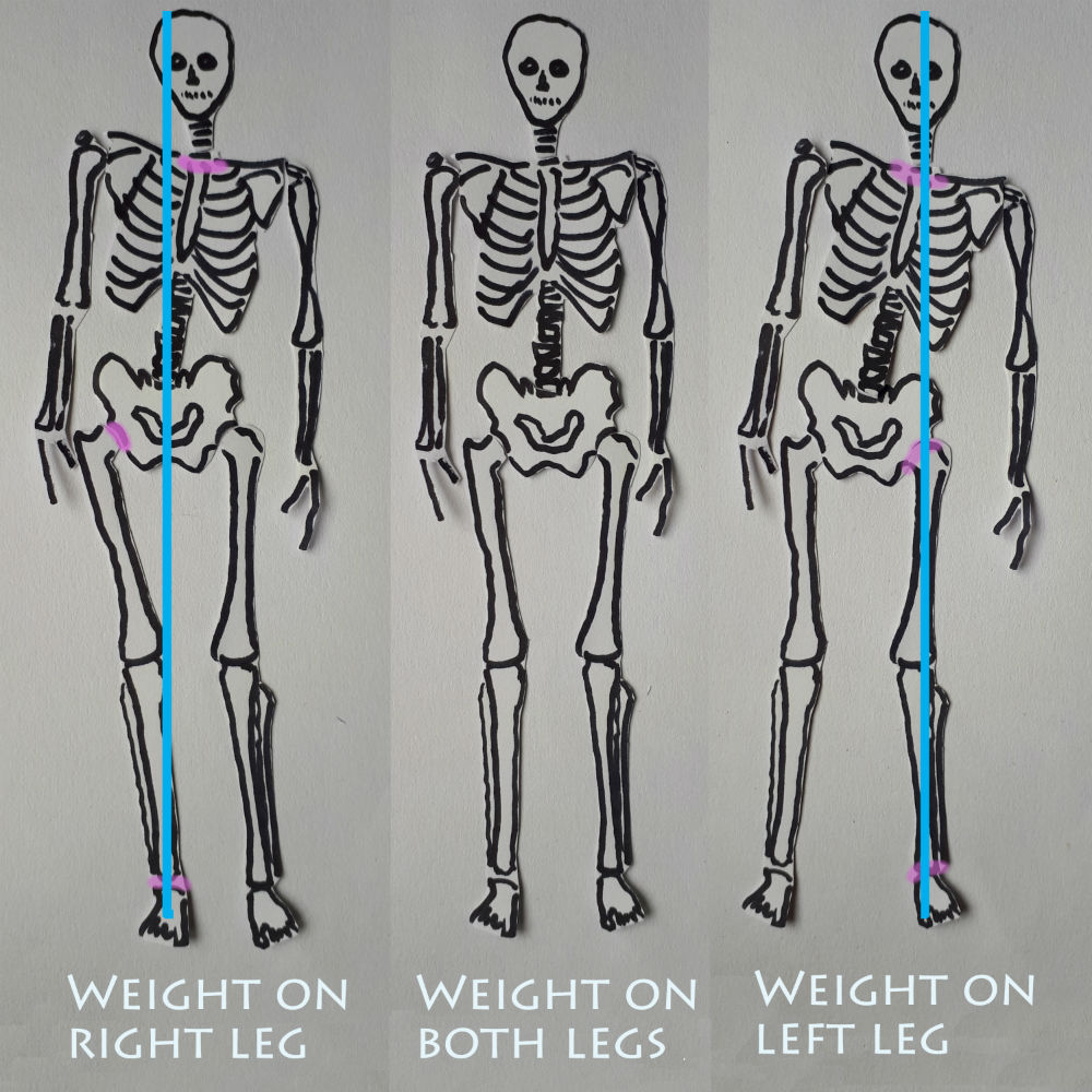 skeleton shifting weight from one foot to the other and throwing the hip out